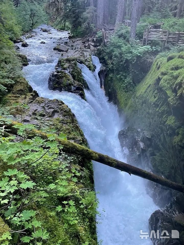 [뉴시스]10대 소년 그랜트 헤리지가 워싱턴 올림픽공원의 솔덕 폭포에서 떨어져 사망했다 (사진=뉴욕포스트) 2025.6.19 