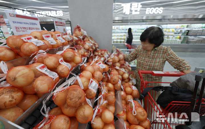 농식품부, 양파값 하락 선제 대응…최대 40% 할인·1.5만t 수출