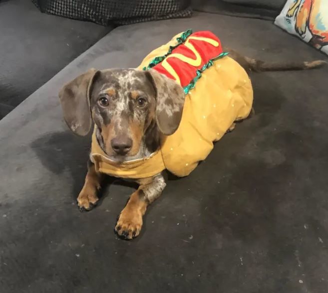 [뉴시스] (사진=트레버 인스타그램) *재판매 및 DB 금지