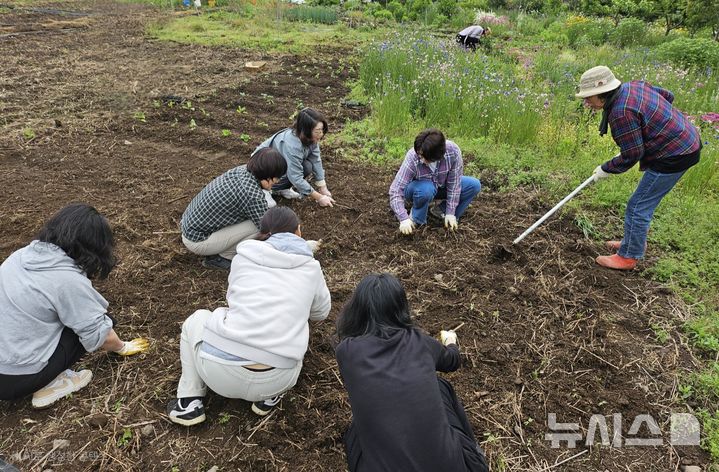 [제주=뉴시스] 제주시 조천읍 선흘리에 있는 현경숙씨 정원인 '꽃덤블'에서 프로그램 참가자들이 꽃씨를 직접 심고 가꾸면서 힐링의 시간을 보내고 있다. (사진제공=현경숙 씨) photo@newsis.com