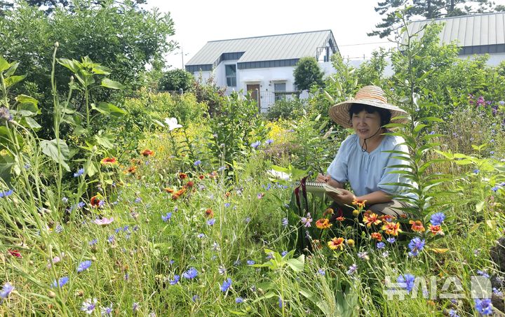 [제주=뉴시스] 임재영 기자 = 정원지기 이경미씨가 19일 오후 '꽃담정원'에서 꽃을 보면서 그림의 영감을 얻고 있다. 2025.06.22. ijy788@newsis.com