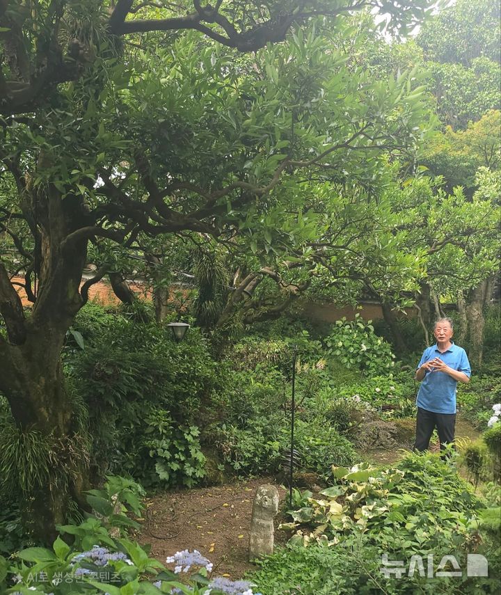 [제주=뉴시스] 임재영 기자 = 20일 오후 제주시 해안동 '해안과원'에서 김학우씨가 300여년 된 진귤나무를 배경으로 해서 정원을 조성한 과정을 설명하고 있다. 2025.06.22. ijy788@newsis.com