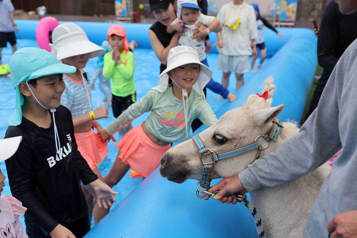 [부산=뉴시스] 렛츠런파크 부산경남 워터 페스티벌에서 아이들이 말과 교감하고 있다. (사진=렛츠런파크 부산경남 제공) 2025.06.23. photo@newsis.com *재판매 및 DB 금지