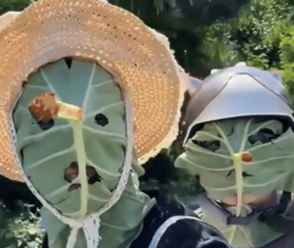 [서울=뉴시스]중국 푸젠성의 한 청년이 연잎으로 만든 마스크를 착용한 영상이 사회관계망서비스(SNS)에서 화제를 모으고 있다.(사진=장원시쉰) *재판매 및 DB 금지 *재판매 및 DB 금지