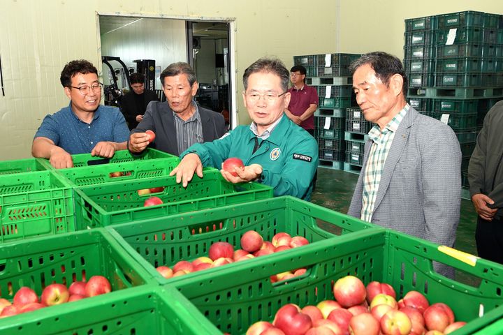  [군위=뉴시스] 김진열 군위군수가 농산물공판장에 출하된 자두를 살펴보고 있다. (사진=군위군 제공) 2025.06.23. photo@newsis.com *재판매 및 DB 금지