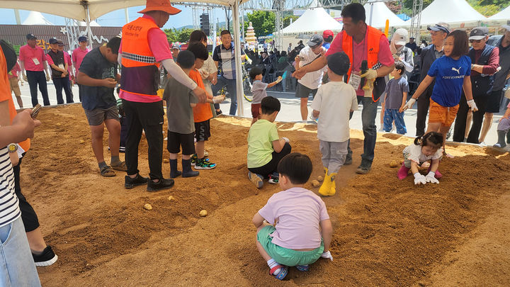 [서산=뉴시스] 가족과 함께 팔봉산감자축제에 들른 아이들이 22일 죽제장에서 황금감자찾기 행사에 참가하고 있다. (사진=서산시 제공) 2025.06.23. photo@newsis.com *재판매 및 DB 금지