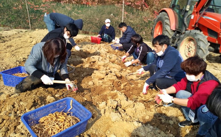 [정읍=뉴시스] 정읍시가 귀농귀촌인을 대상으로 밭농업 실습을 진행 중이다. *재판매 및 DB 금지