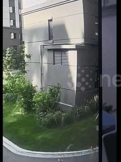 [뉴시스] 고양이는 팔다리나 몸 어디에도 외상이 없었고, 건강 상태도 양호했던 것으로 알려졌다. (영상=뉴스플레어) *재판매 및 DB 금지