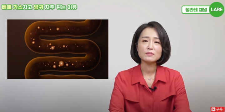 [서울=뉴시스] 정세연 한의학 박사는 배에 가스를 많이 차게 하는 다섯 가지 습관을 소개했다. (사진=유튜브 '정세연의 라이프 연구소') 2025.06.24 *재판매 및 DB 금지