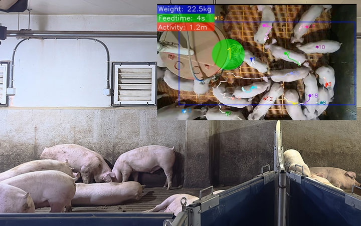  *재판매 및 DB 금지