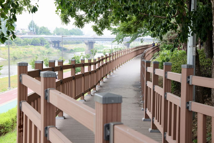 [서울=뉴시스] 창포원~창동주공17단지까지 이어지는 2.93㎞의 중랑천 데크길. 2025.06.24. (사진=도봉구 제공) *재판매 및 DB 금지