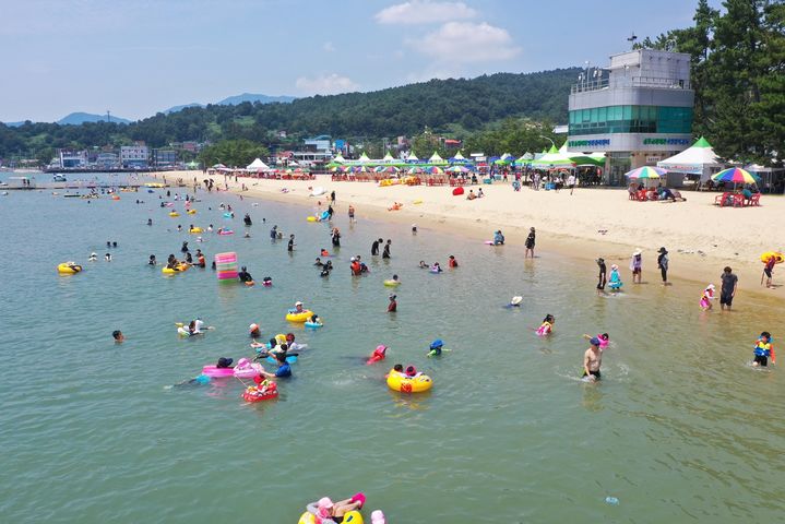 [보성=뉴시스] 보성 율포솔밭해수욕장. (자료사진 제공 = 보성군). 2025.06.24. photo@newsis.com *재판매 및 DB 금지