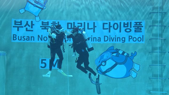 [부산=뉴시스] 전문 강사진의 도움을 받아 입수 중인 참가자 (사진=부산항만공사 제공) 2025.06.24. photo@newsis.com *재판매 및 DB 금지