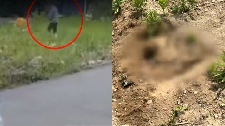 [뉴시스] 10년 넘게 키운 반려견이 갑자기 사라져 찾아 나선 끝에 이웃집 남성이 땅속에 매장한 사실이 밝혀졌다. (사진=JTBC 캡처) *재판매 및 DB 금지