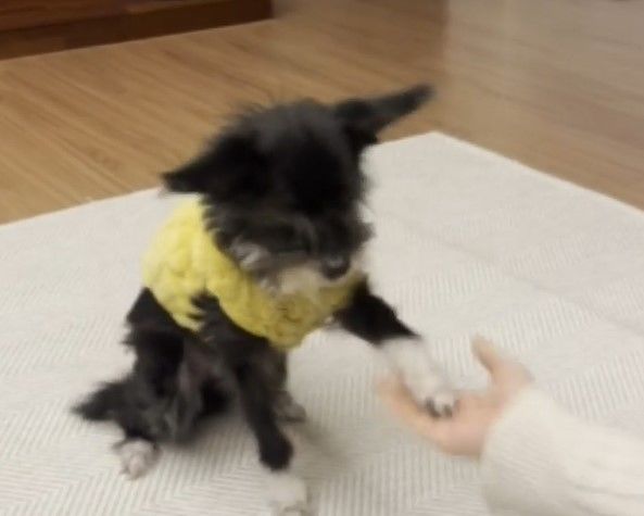 [뉴시스] (사진=JTBC 캡처) *재판매 및 DB 금지