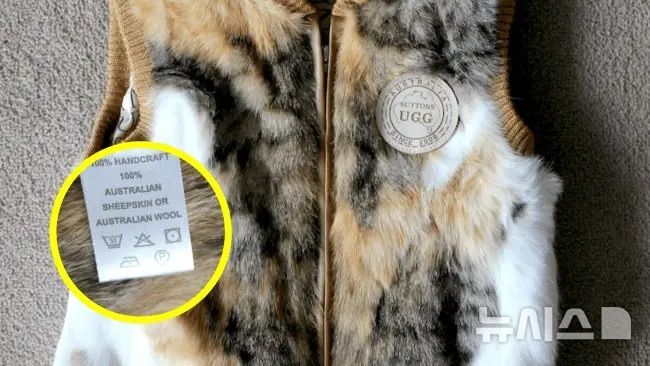 [서울=뉴시스]호주 멜버른에서 ‘호주산 양털’로 표기돼 판매된 아동용 조끼가 실제로는 고양이와 토끼털로 만들어졌다는 조사 결과가 나왔다. (사진=콜렉티브 패션 저스티스) 2025.6.23 