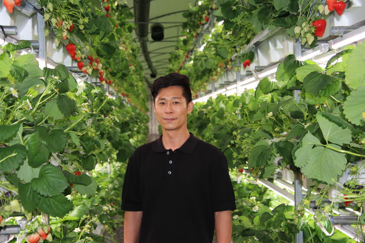 [논산=뉴시스]도심형 스마트팜 딸기 식물공장을 운영하는 김재환 비스마트팜 대표. 2025. 06. 25 photo@newsis.com *재판매 및 DB 금지