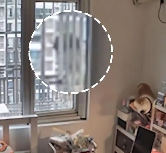 [서울=뉴시스]상하이의 한 아파트 복도에서 여성의 집 안을 반복적으로 엿본 남성이 경찰에 붙잡혔다.(사진=구파신문) *재판매 및 DB 금지