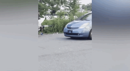 [뉴시스]뉴욕 퀸스의 국립공원에서 한 무리가 백조를 납치하고 도주하는 모습이 포착돼 화제를 모으고 있다. (사진=뉴욕포스트) *재판매 및 DB 금지