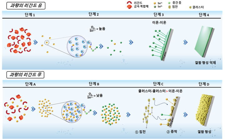 고품질 SnO2 박막 합성을 위한 과잉 리간드 전략 메커니즘. (사진=성균관대 제공) *재판매 및 DB 금지