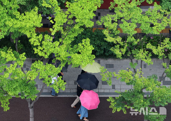 [서울=뉴시스] 해당 사진은 기사 내용과 관련이 없습니다. (사진=뉴시스 DB). photo@newsis.com