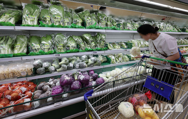 [서울=뉴시스] 조성우 기자 = 서울 한 대형마트에서 시민이 장을 보고 있다. 2025.06.25. xconfind@newsis.com