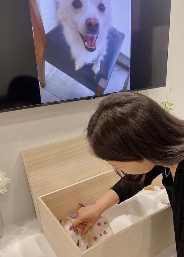 [서울=뉴시스] 배우 김하영이 반려견과의 마지막 이별을 전했다. (사진=김하영 인스타그램 캡처) 2025.06.26. photo@newsis.com  *재판매 및 DB 금지
