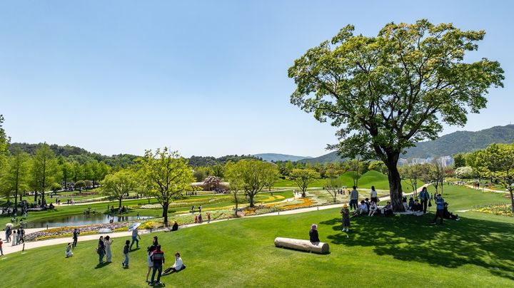  [순천=뉴시스] 순천만국가정원 노을정원에서 관람객이 휴식하고 있다. (사진=순천시 제공) 2025.06.26. photo@newsis.com *재판매 및 DB 금지