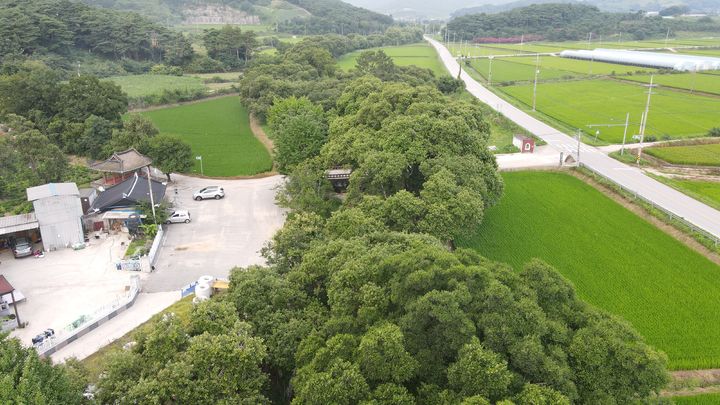 [고창=뉴시스] 국가지정유산 '천연기념물'로 지정·예고된 고창 삼태마을숲. *재판매 및 DB 금지