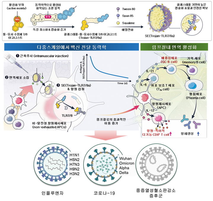 SE(Trojan-TLR7/8a) 개발 과정 및 작용 메커니즘. (사진=성균관대 제공) *재판매 및 DB 금지