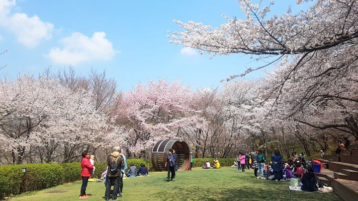 [서울=뉴시스] 서대문구가 올해 9월부터 매주 토요일 서울시 공공예식장으로 무료 개방하는 ‘서대문 안산(鞍山) 잔디마당’. 2025.06.26. (사진=서대문구 제공) *재판매 및 DB 금지