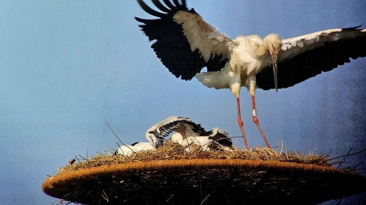 사진=부안군 제공 *재판매 및 DB 금지