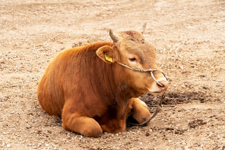 [서울=뉴시스] 기사의 이해를 돕기 위한 이미지 (사진=유토이미지) 2025.06.26 *재판매 및 DB 금지