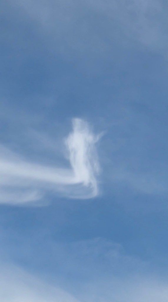 [뉴시스]필리핀의 한 성당 위에 예수님의 형상을 한 구름이 나타나 신도들을 깜짝 놀라게 했다. (사진=뉴욕포스트) *재판매 및 DB 금지