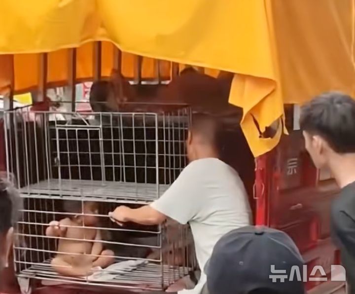 [뉴시스] 중국에서 한 아버지가 아들을 벌거벗긴 채 철장에 가둔 모습이 공개돼 논란이 일고 있다. (사진=scmp) 2025.06.26 