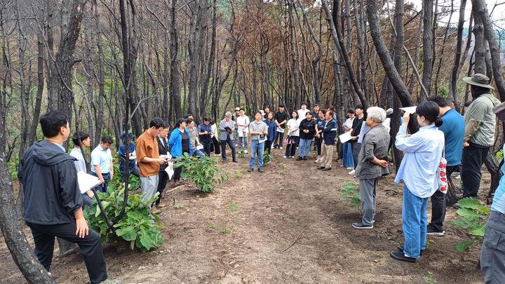 [의성=뉴시스] 경북 의성군 안사면 임야에서 경북 대형산불 피해복구 방법 등을 논의하기 위한 현장토론회가 열리고 있다. (사진=의성군 제공) 2025.06.27. photo@newsis.com *재판매 및 DB 금지