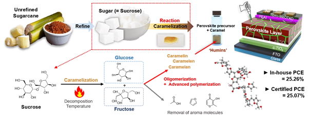 캐러멜화된 수크로스를 첨가제로 사용한 고성능 페로브스카이트 태양전지 개발 연구 모식도. (사진=성균관대 제공) *재판매 및 DB 금지
