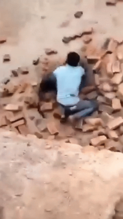 [뉴시스] 인도의 한 마을에서 한 남성이 흑표범과 맨손으로 싸워 제압한 장면이 포착됐다. (사진=X) *재판매 및 DB 금지