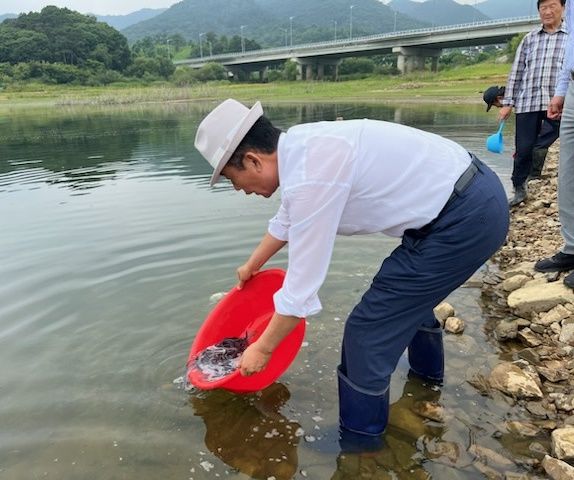 청주시, 대청호에 뱀장어 치어 5500마리 방류