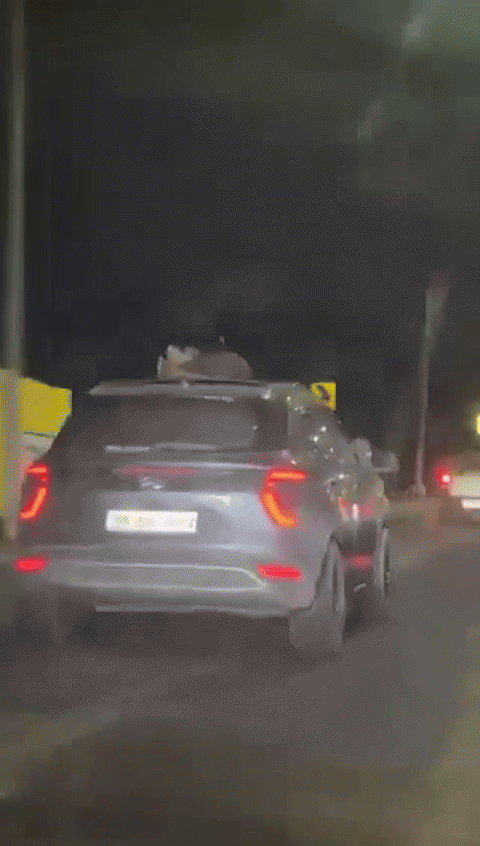 [뉴시스] 고속도로에서 커플이 키스하는 장면. (사진=docnhanh) *재판매 및 DB 금지 *재판매 및 DB 금지