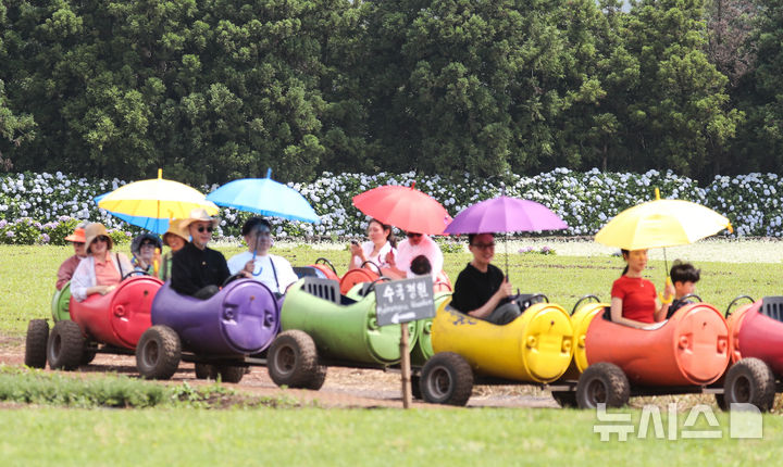 [서귀포=뉴시스] 우장호 기자 = 장마가 소강상태에 놓인 27일 오전 제주 서귀포시 표선면 보롬왓 농장에서 방문객들이 깡통열차를 타며 즐거운 한때를 보내고 있다. 2025.06.27. woo1223@newsis.com