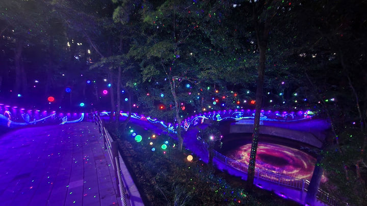 [광주=뉴시스] 광주 사직공원 '빛의 숲'. (사진=광주시청 제공). photo@newsis.com *재판매 및 DB 금지