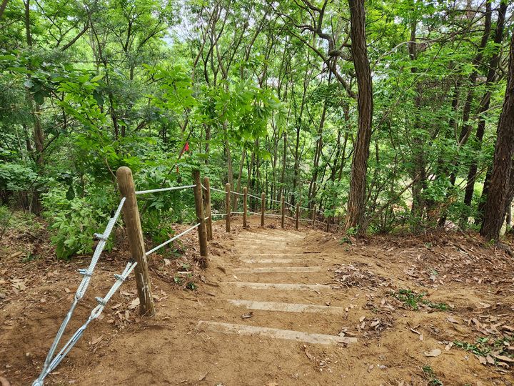 [청주=뉴시스] 충북 청주 구룡공원 산책로. (사진=뉴시스 DB). photo@newsis.com *재판매 및 DB 금지