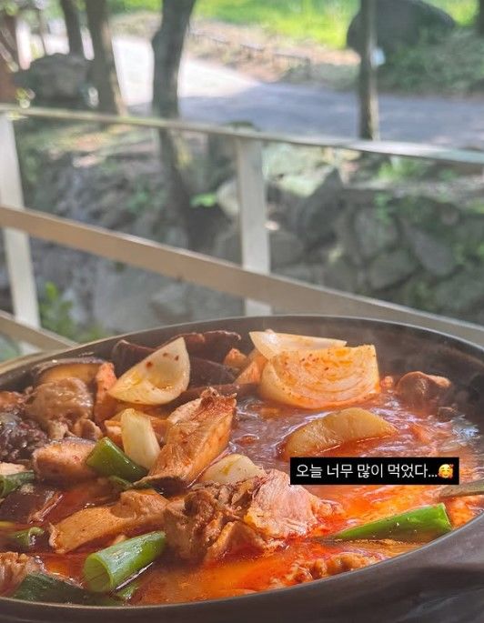 [서울=뉴시스] 이솔이가 소셜미디어에 공개한 닭볶음탕 사진. (사진=이솔이 인스타그램 캡처) 2025.06.28. photo@newsis.com *재판매 및 DB 금지