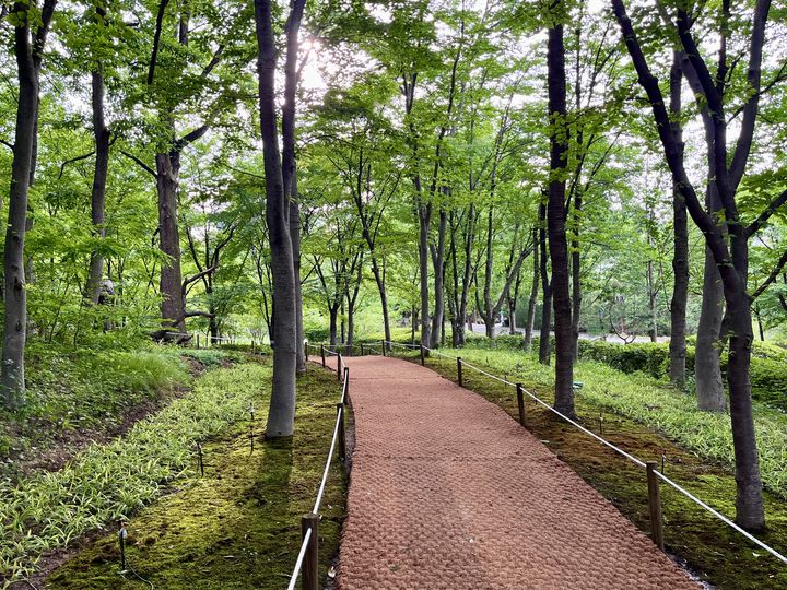 [수원=뉴시스] 이끼원 관람로. (사진=경기도 제공) 2025.06.29. photo@newsis.com *재판매 및 DB 금지