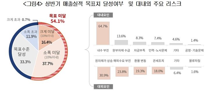상반기 매출실적 목표치 달성 여부 및 대내외 주요 리스크.(자료제공=대한상공회의소) *재판매 및 DB 금지