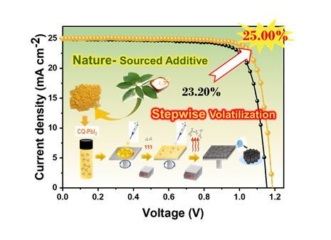 [울산=뉴시스] 구미현 기자 =녹나무 유래 물질의 단계적 승화 특성을 활용해 페로브스카이트 태양전지의 효율과 수명을 향상을 나타낸 연구그림 (UNIST 제공) photo@newsis.com *재판매 및 DB 금지