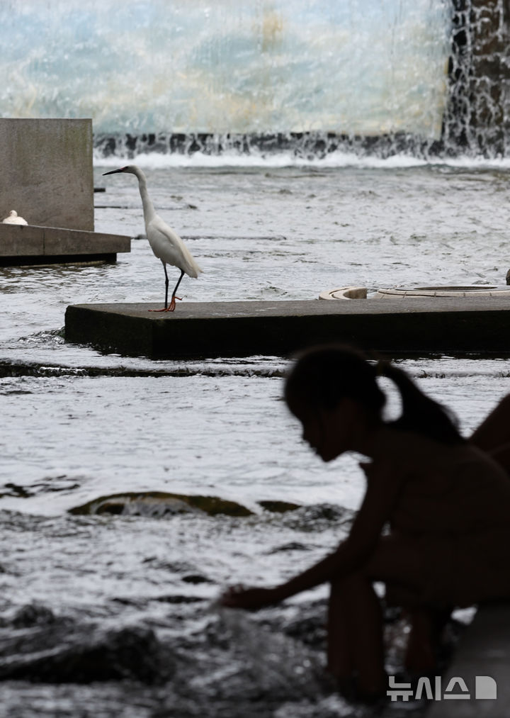 [서울=뉴시스] 김명원 기자 = 서울지역 낮 최고기온이 30도까지 올라 후텁지근한 나씨를 보인 29일 서울 종로구 청계천에서 가족들과 어린이들이 더위를 식히고 있다. 2025.06.29. kmx1105@newsis.com