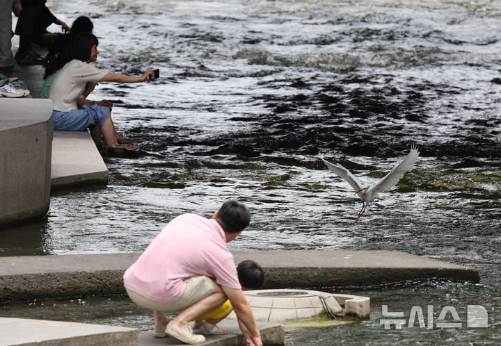 [서울=뉴시스] 김명원 기자 = 서울지역 낮 최고기온이 30도까지 올라 후텁지근한 나씨를 보인 29일 서울 종로구 청계천에서 가족들과 어린이들이 더위를 식히고 있다. 2025.06.29. kmx1105@newsis.com