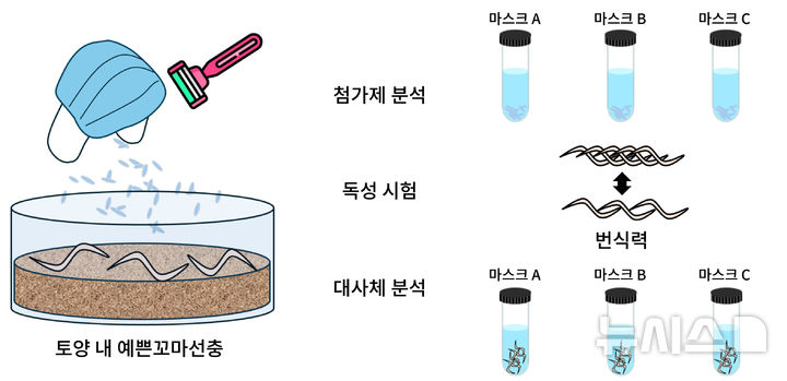[광주=뉴시스] 일회용 마스크 미세플라스틱의 토양 독성